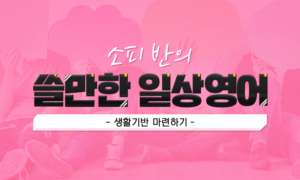 소피 반의 쓸만한 일상영어_생활기반 마련하기[1개월]