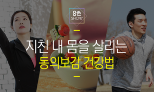 [팔색쇼] 지친 내 몸을 살리는 동의보감 건강법[1개월]